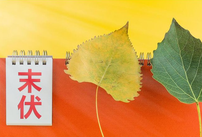 末伏第一天，來吃個張成榮大雞腿吧！