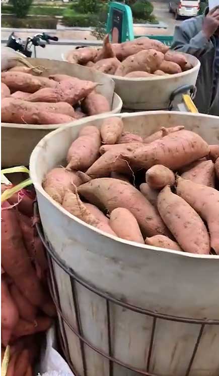 那么，學校周圍秋冬賣什么最賺錢？