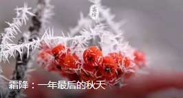 2018霜降來(lái)臨：張成榮電烤雞架邀你一起進(jìn)入養(yǎng)生季??！