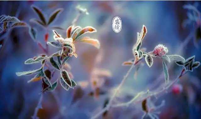 2018霜降來(lái)臨：張成榮電烤雞架邀你一起進(jìn)入養(yǎng)生季！