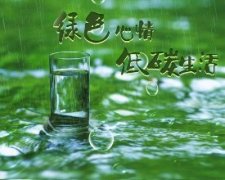 張成榮電烤雞架，爭做綠色低碳餐飲小吃先鋒品牌！