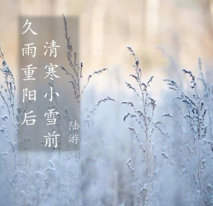 24節(jié)氣之小雪——滋補(bǔ)正當(dāng)時(shí)！張成榮陪你恣意人生！